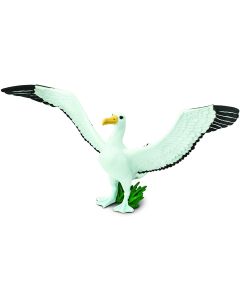 150729 Giant Albatross