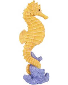 204329 Seahorse