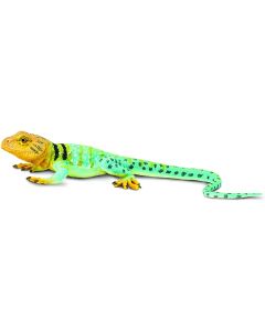 271029 collared Lizard 20CM
