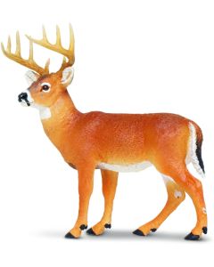 180029 Naw Whitetail Buck