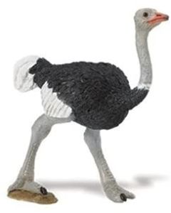 226129 Ostrich