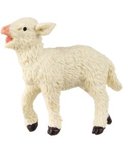 233729 Lamb