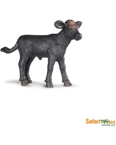 236429 Black Angus Calf