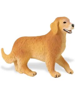 238929 Golden Retriever