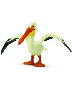 241829 White Pelican