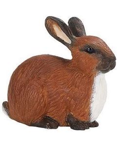 245429 Rabbit
