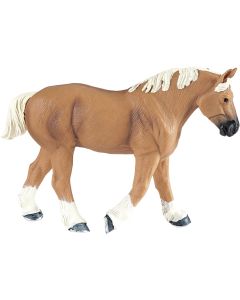 2501029 Belgian Draft Stallion