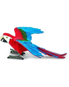 263929 Green Winged Macaw