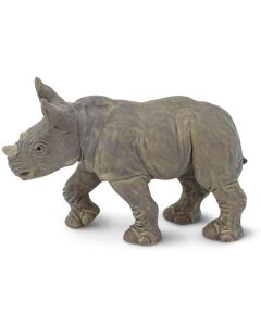 270329 White Rhino Baby