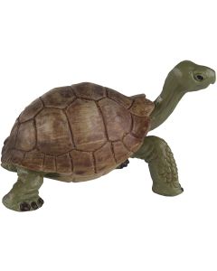 272529 Jungle Tortoise