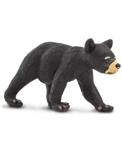 273629 Black Bear Cub