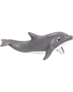 275429 Bottlenose Dolphin Calf