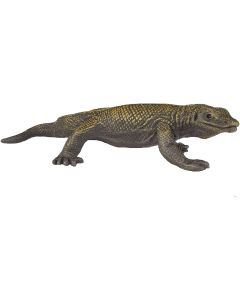 291029 Jungle Komodo Dragon 