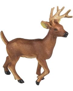 291229 Forest Buck