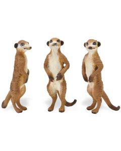 291729 Meerkats Set of 3