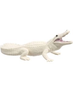 291929 White Alligator