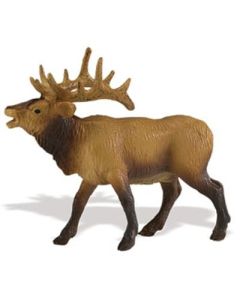 292329 Elk