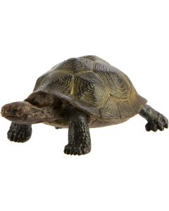 295329 Desert Tortoise