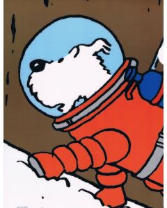 Tintin Cartoleria 15127 Plastic Sleeves - A4 Snowy climb 