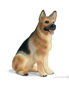 16376 Schaferhund Rude Pastore Tedesco Seduto