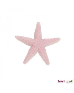201129 STARFISH STELLA MARINA 10CM
