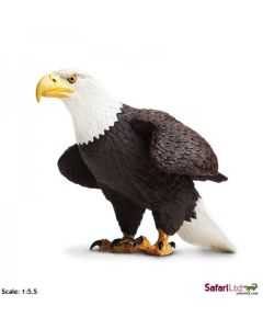 251029 BALD EAGLE AQUILA AMERICANA ALTA 11CM