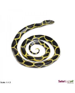 257929 CHAIN KINGSNAKE 90CM