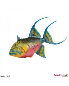 259929 QUEEN TRIGGERFISH PESCE TROPICALE 12CM