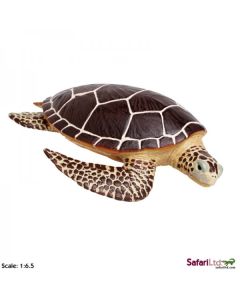260429 SEA TURTLE TARTARUGA 20CM