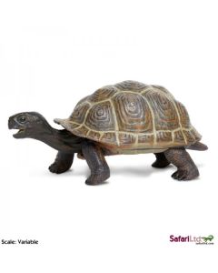 260829 TORTOISE BABY TARTARUGA 13CM