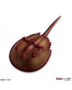 261429 HORSESHOE CRAB 18CM