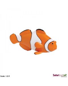 261829 CLOWN ANEMONEFISH PESCE PAGLIACCIO 12CM