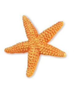 262529 STELLA MARINA DIAMETRO 11CM