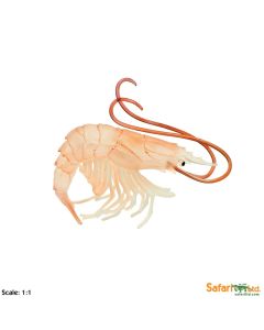 265729 Shrimp gamberetto 11cm