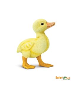 265829 Duckling 11cm