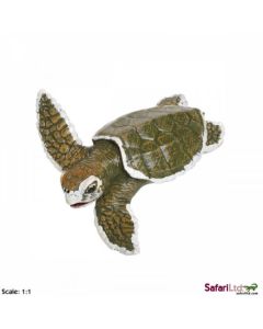 267429 KEMP'S RIDLEY SEA TURLEY BABY TARTARUGA 10CM