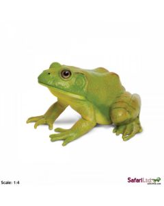 268729 AMERICAN BULLFROG RANA 12CM