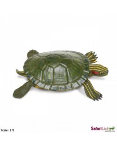 269529 RED EARED SLIDER TURTLE TARTARUGA 10CM