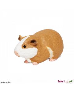 269629 GUINEA PIG PORCELLINO D'INDIA LUNGO 11 CM