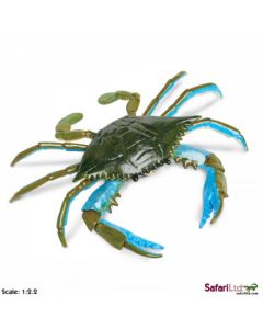 269729 BLUE CRAB GRANCHIO 16CM