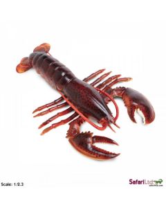 281629 MAINE LOBSTER ARAGOSTA 20CM