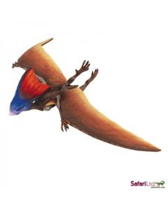 284229 Tapejara 21cm