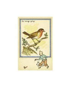 Tintin Moulinsart Postcard 13,5x9cm - 30302 La rouge-gorge