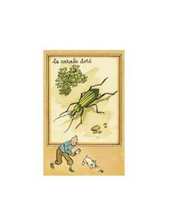 Tintin Moulinsart Postcard 13,5x9cm - 30303 La carabe dorè