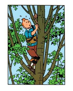 Tintin Moulinsart Double Postcard 16,5x12,5cm - 31026 Tintin dans L'albre