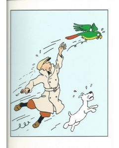 Tintin Moulinsart Double Postcard 16,5x12,5cm - 31132 Tintin Perroquet