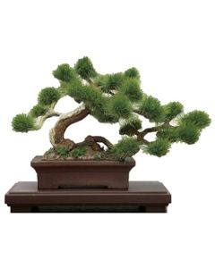 Platz The Bonsai Plastic Model Kit Bon-01 Matsu