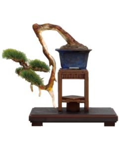 Platz The Bonsai Plastic Model Kit Bon-03 Shinpaku