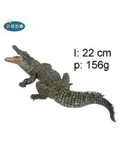 50055 COCCODRILLO DEL NILO