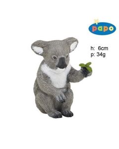 50111 KOALA